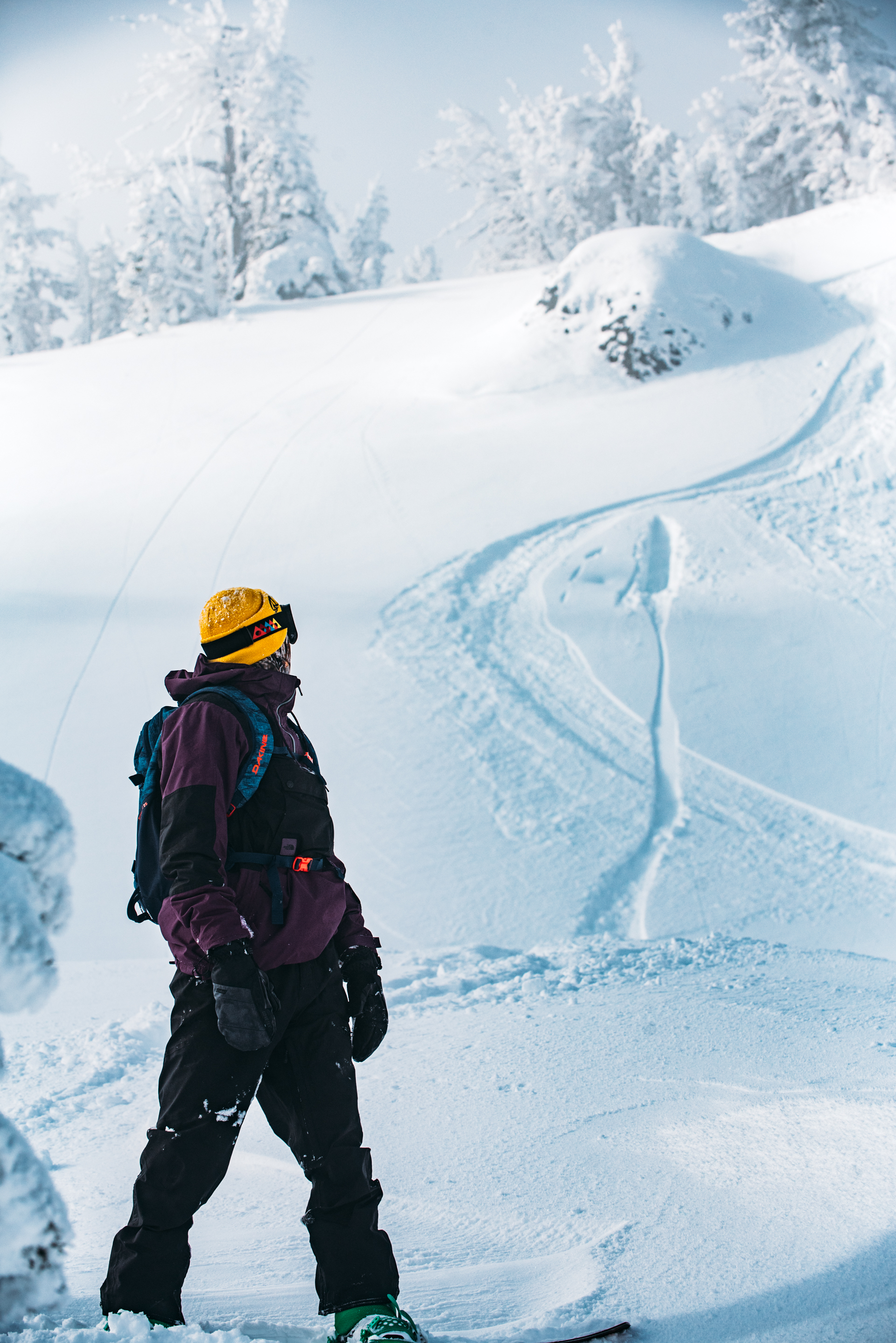 Beyond the Ropes at Mission Ridge - The Snowboarders Journal